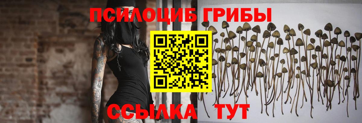 Галлюциногенные грибы Psilocybine cubensis  магазин  наркотиков  Псилоцибиновые грибы ЛСД  Грязи  Вход с VPN 